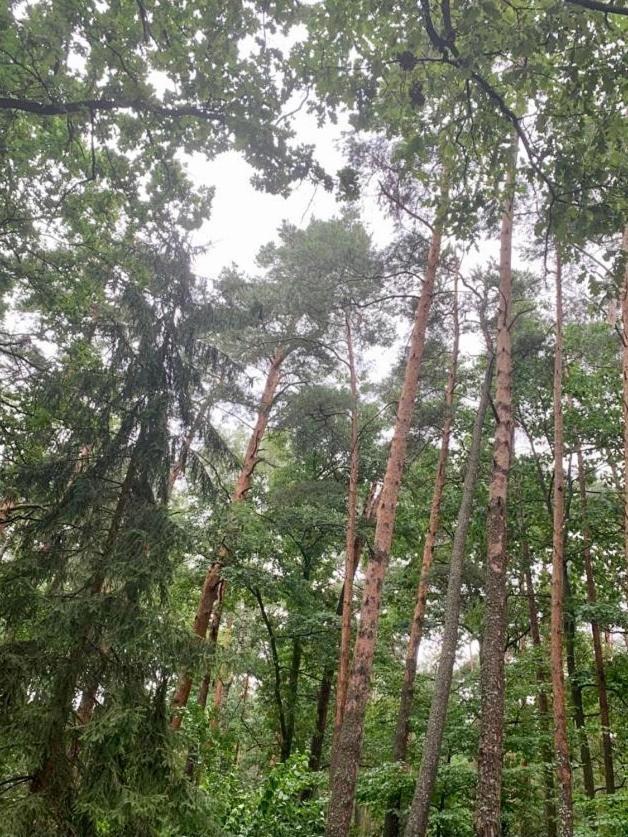 Chata Roudná Klenovice  Exterior foto